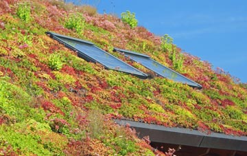 Baybridge living roof systems